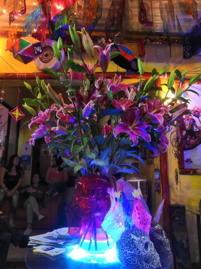 Hostal Oaxaca Magic Buitenkant foto
